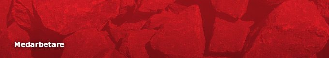 banner-medarbetare banner