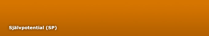 banner-sp banner